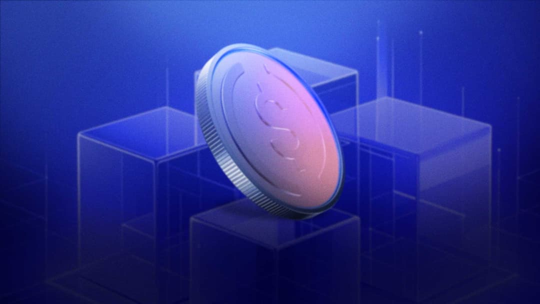 moneda de usdc